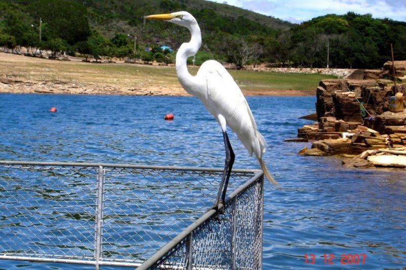 Pousada Araras Lago De Furnas Сао Жозе да Бара Екстериор снимка